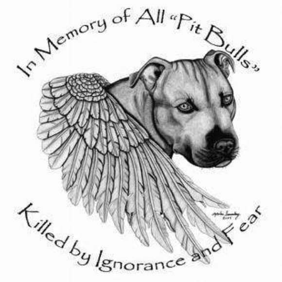 Meet your Posher, Paula - Picture 1 of 1